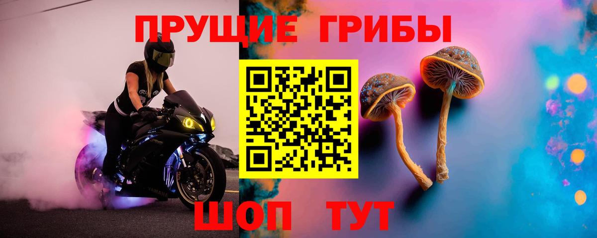 Псилоцибиновые грибы Psilocybine cubensis  Псилоцибиновые грибы мицелий  Вход с VPN  Ликино-Дулёво 